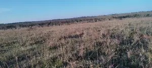 Kitengela 5 Acres Pime Land