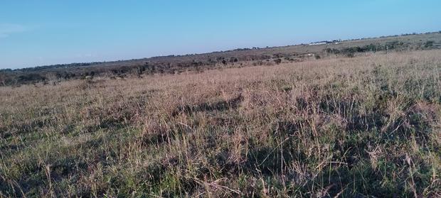 Kitengela 5 Acres Pime Land - thumbnail 2