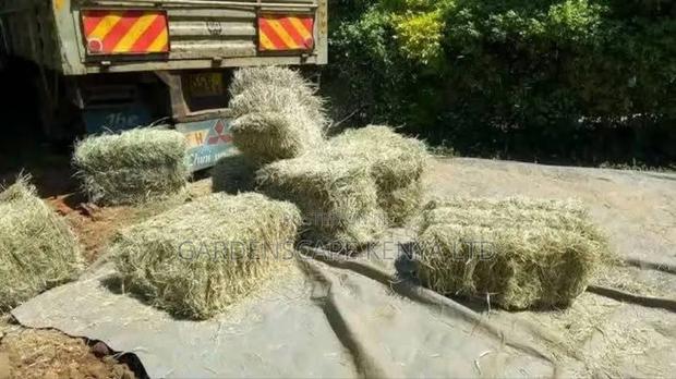 Hay Bales 15kgs( Moq 20 Bales)