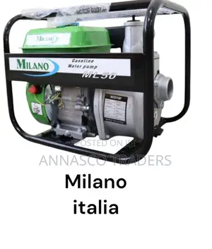 Heavy Duty Milani Italia Gasoline Water Pump 2"