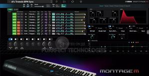 Montage M Esp VST - thumbnail 2