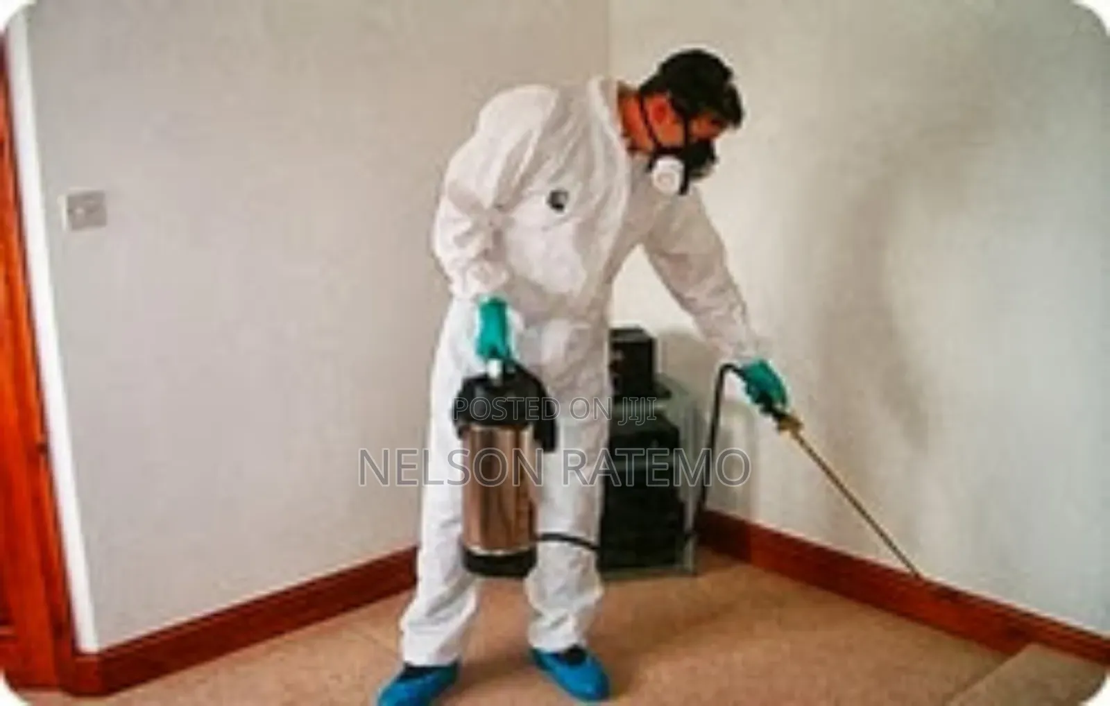 Cockroach Fumigation In Nairobi, Bedbugs Fumigation Near Me