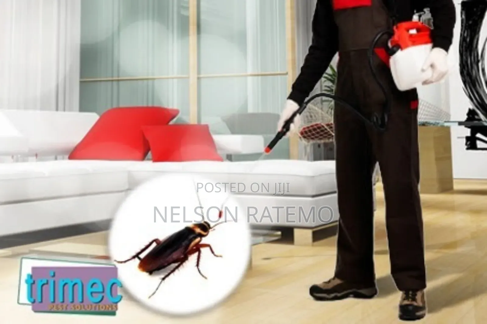 Cockroach Fumigation In Nairobi, Bedbugs Fumigation Near Me