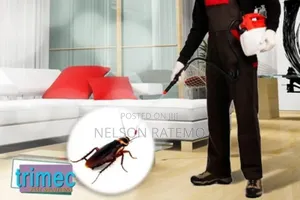 Cockroach Fumigation In Nairobi, Bedbugs Fumigation Near Me