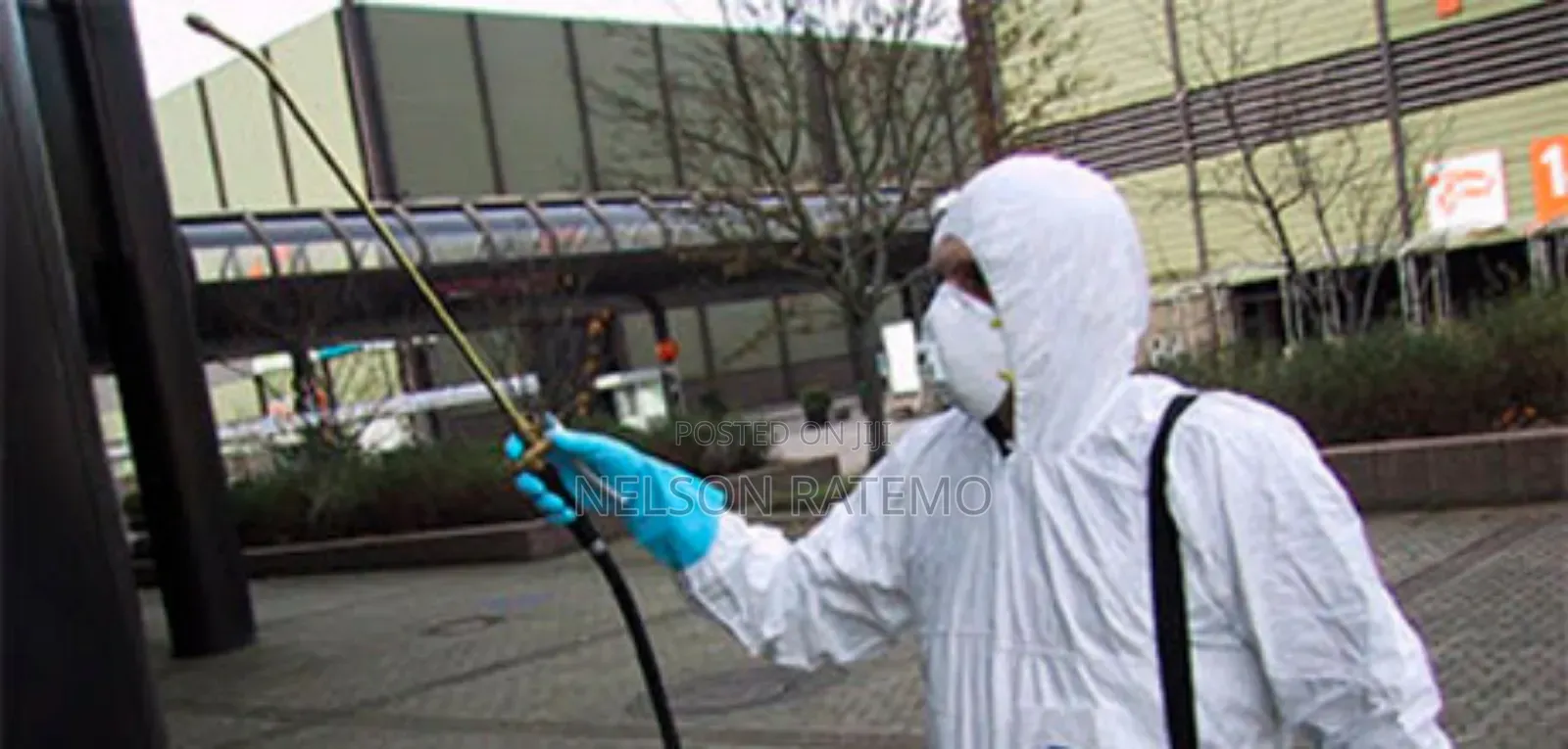 Cockroach Fumigation In Nairobi, Bedbugs Fumigation Near Me