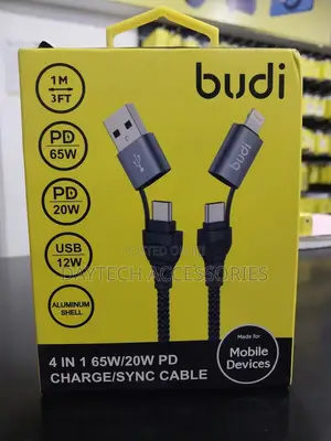Budi 4 in 1 65w/20w Pd Charging Sync Cable 1 M
