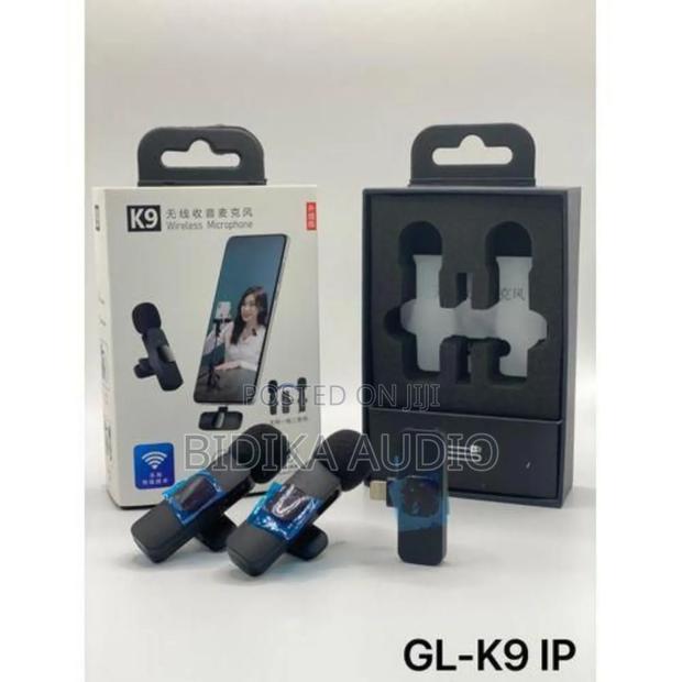  Wireless Microphone (Type C)