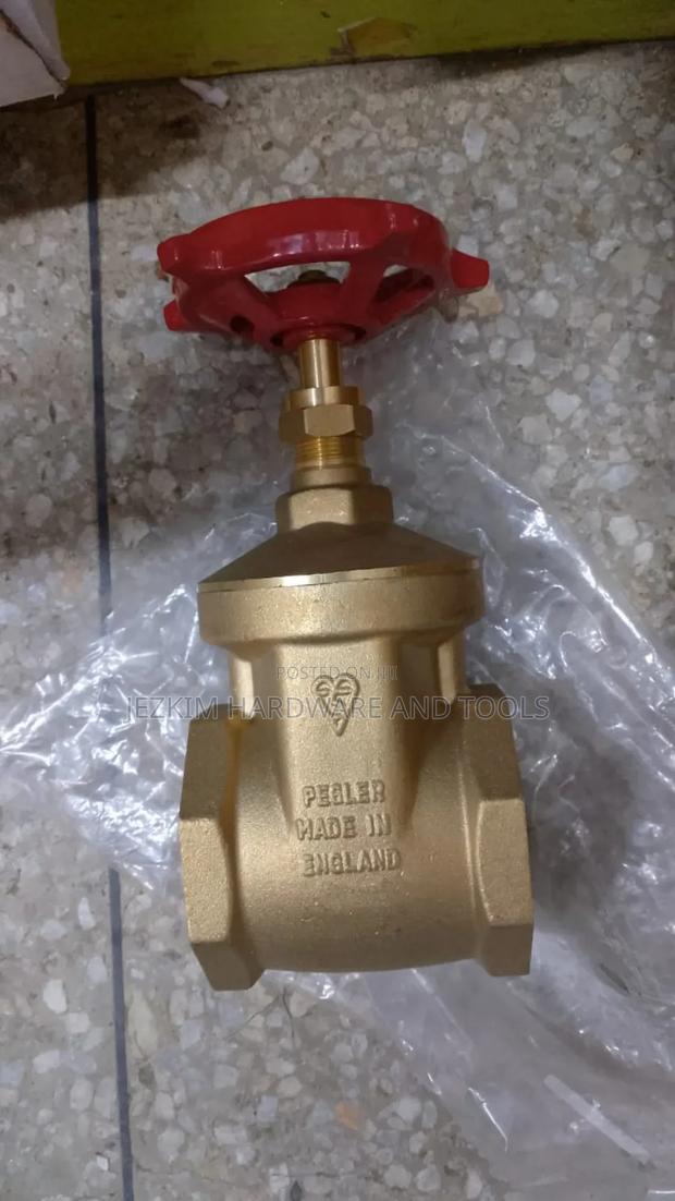 Peglar Gate Valve 21⁄2" - thumbnail 2