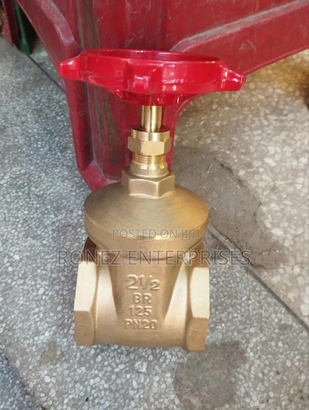 Gate Valve 21⁄2 Pegral - main view