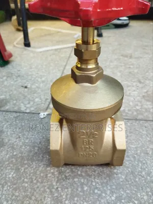 Gate Valve 21⁄2 Pegral