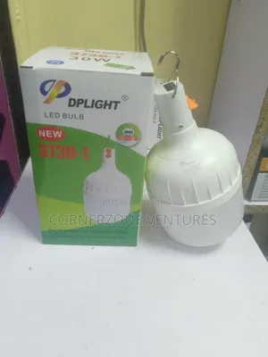 DP Light Bulb Rechargeable 30W