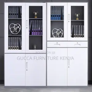 Cabinets:2-Door Sleek Steel Storage Office Organizer