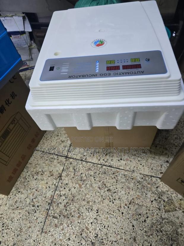 Affordable 56 Eggs Automatic Incubator - main view