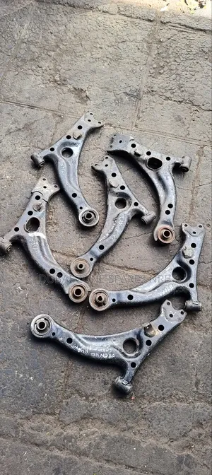 Arms Carina Ti,Caldina,Premio Nyoka.