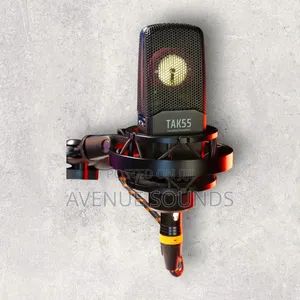 Takstar Tak 35 Condenser Microphone