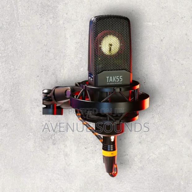 Takstar Tak 35 Condenser Microphone - thumbnail 2
