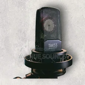 Takstar Tak 35 Condenser Microphone
