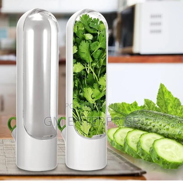 Fresh Herbs Fridge Storage Container