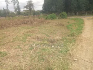 Plot for Sale