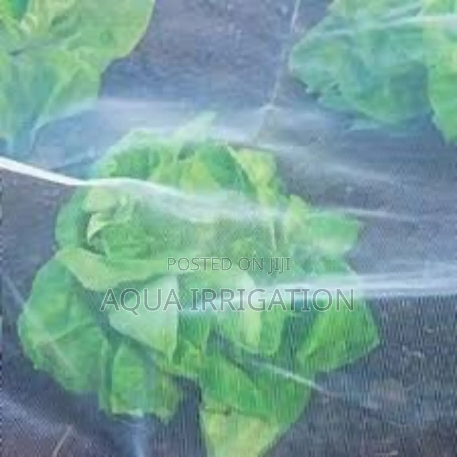 Effective Insect Netting for Healthy Crops!
