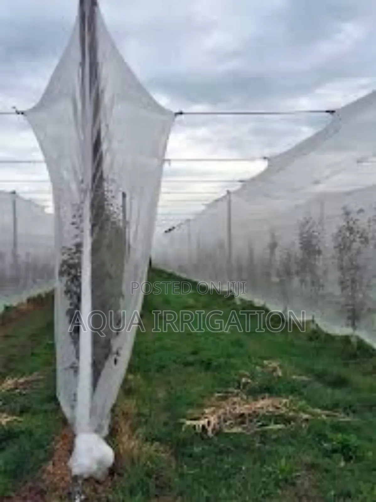 Say Goodbye to Pests With Our Insect Nets!