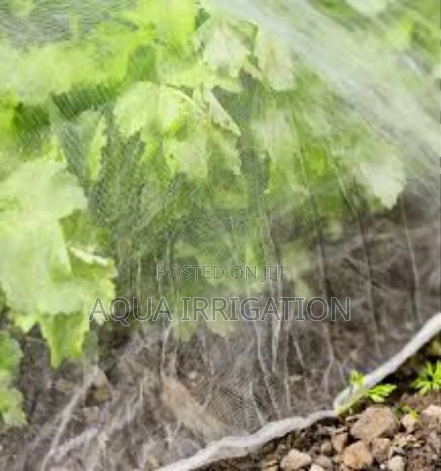 Shield Your Farm With Reliable Insect Netting!