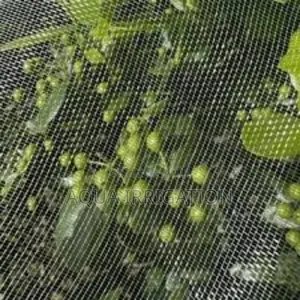Long-Lasting Insect Netting for Any Farm!