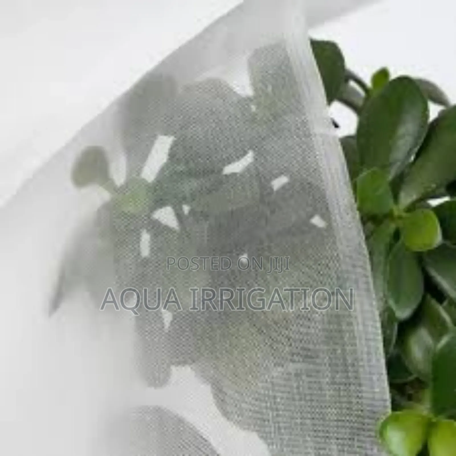 Prevent Pest Damage With Top-Grade Nets!