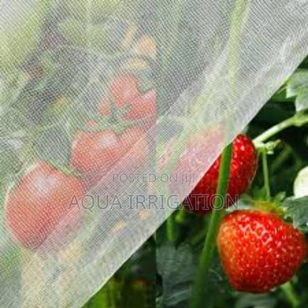 Crop Protection Made Easy With Insect Nets! - main view