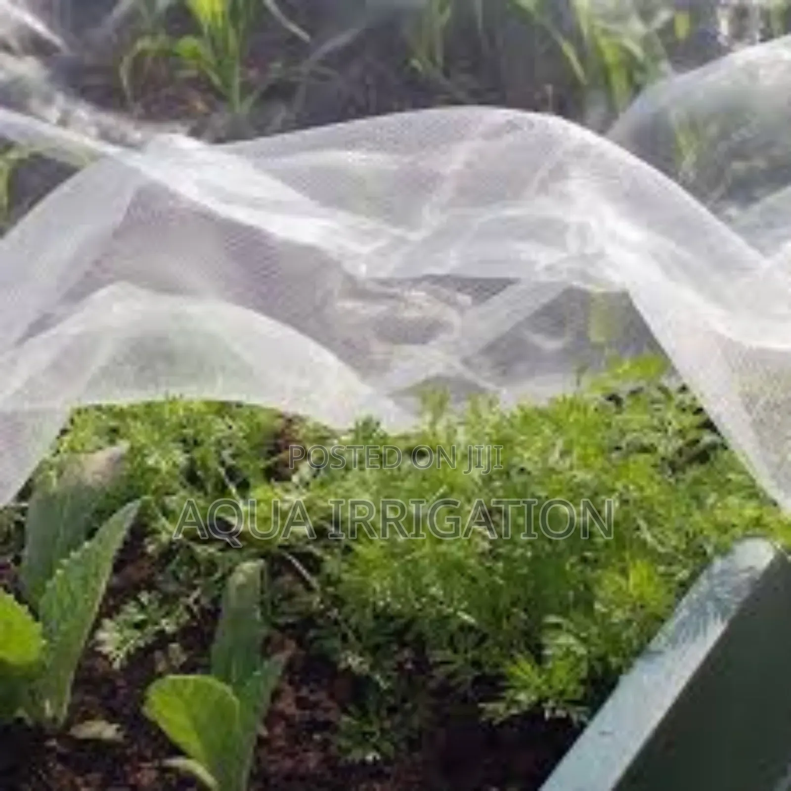 Affordable Insect Nets for Every Farmer!