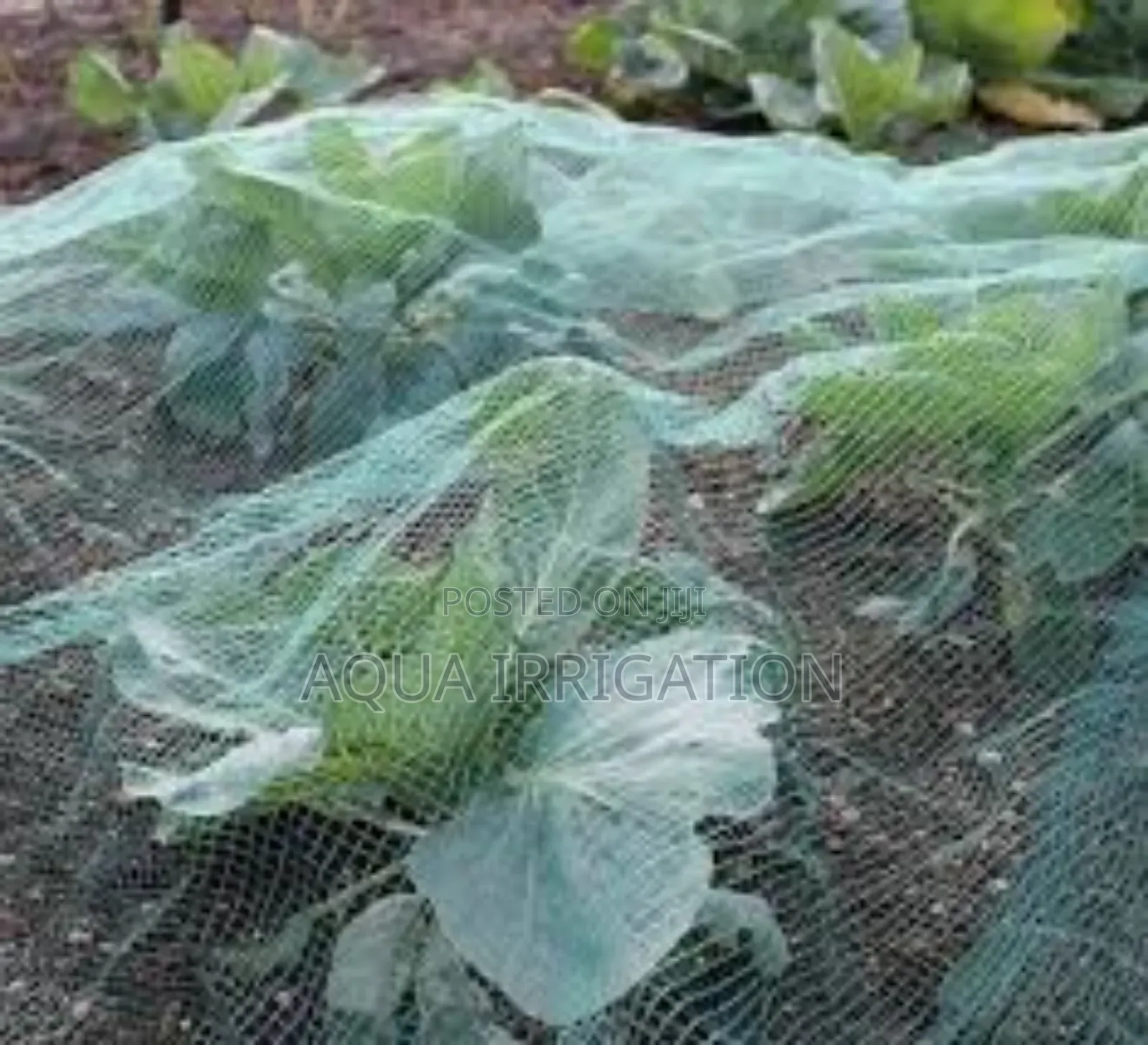Uv-Resistant Insect Nets for All Seasons!