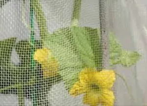 Say No to Pests – Get Your Net Today