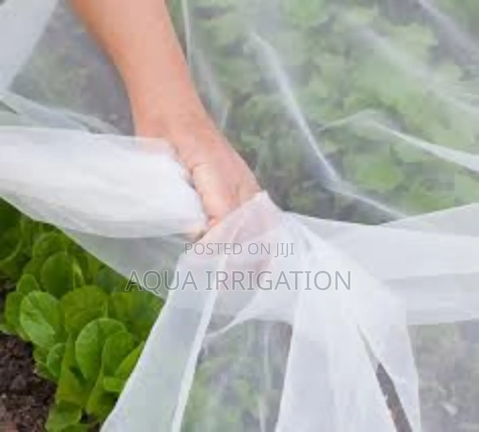 Keep Bugs Out – Invest in Quality Nets!