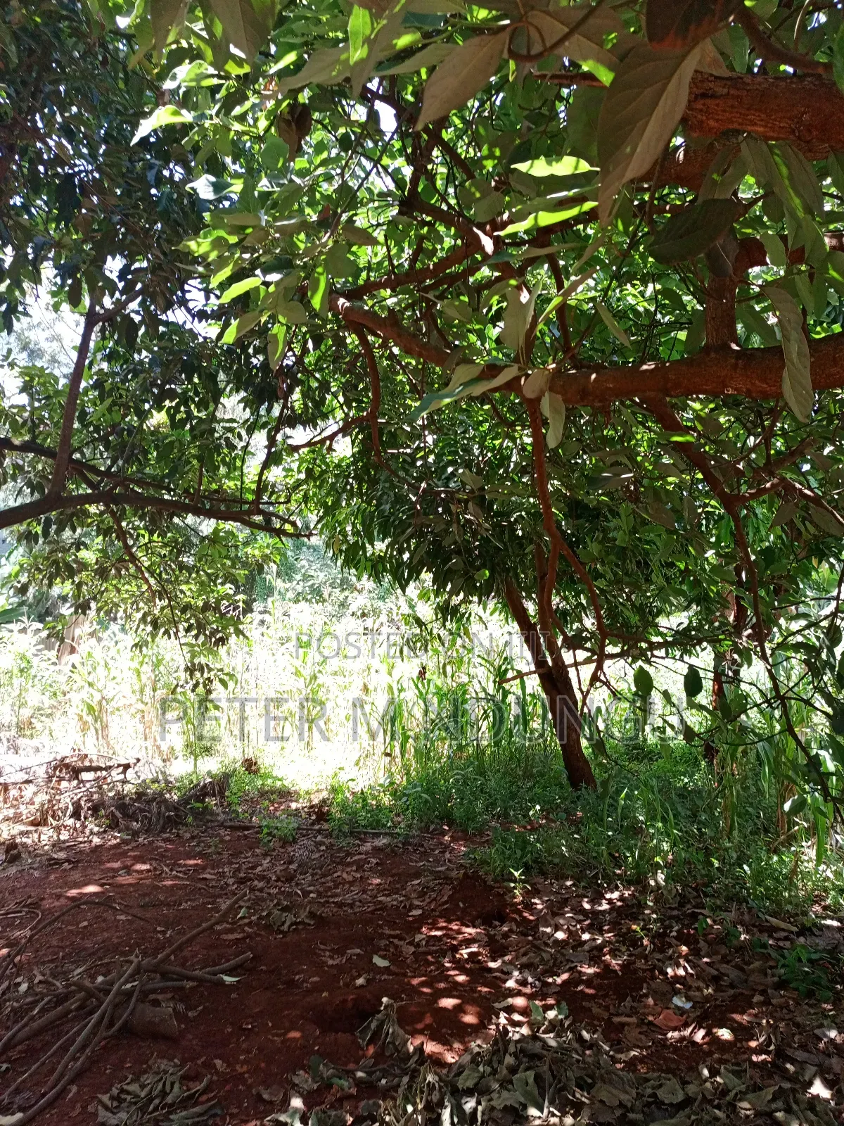 Commercial Plot on Sale, 0.0375 Acre, Thindigua