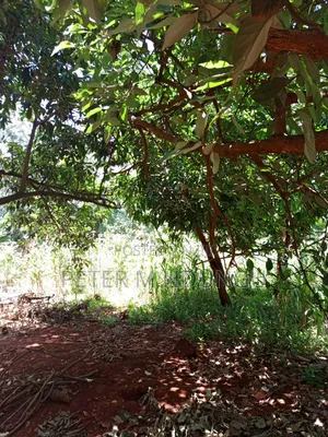 Commercial Plot on Sale, 0.0375 Acre, Thindigua