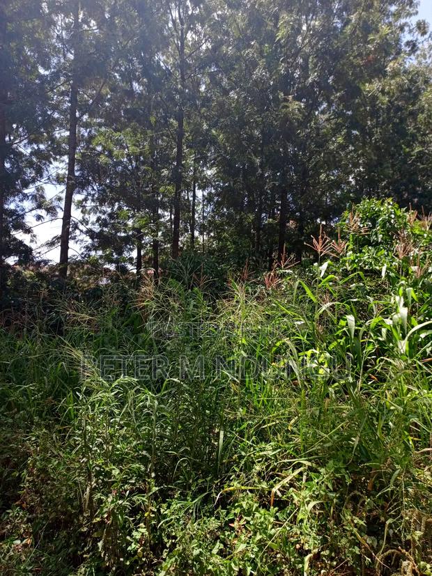 Commercial Plot on Sale, 0.0375 Acre, Thindigua - thumbnail 5