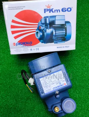 Pedrollo Water Pump Pkm60/ Pedrollo Water Pump