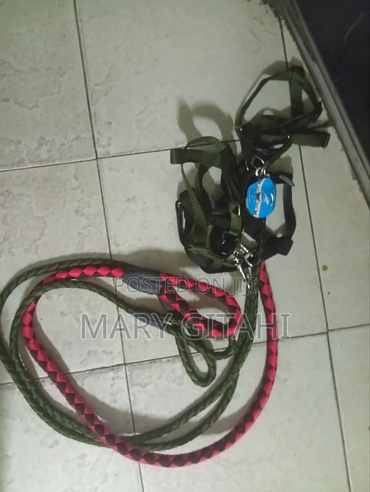 Quality Dog Leash in Sizes