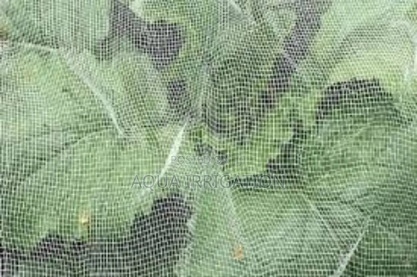Superior Insect Netting for Unmatched Protection!