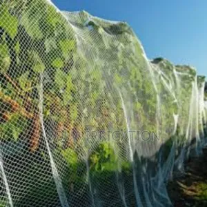 Healthy Farms Need Quality Insect Netting!