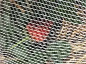 Trust Our Nets for Safe Secure Farming