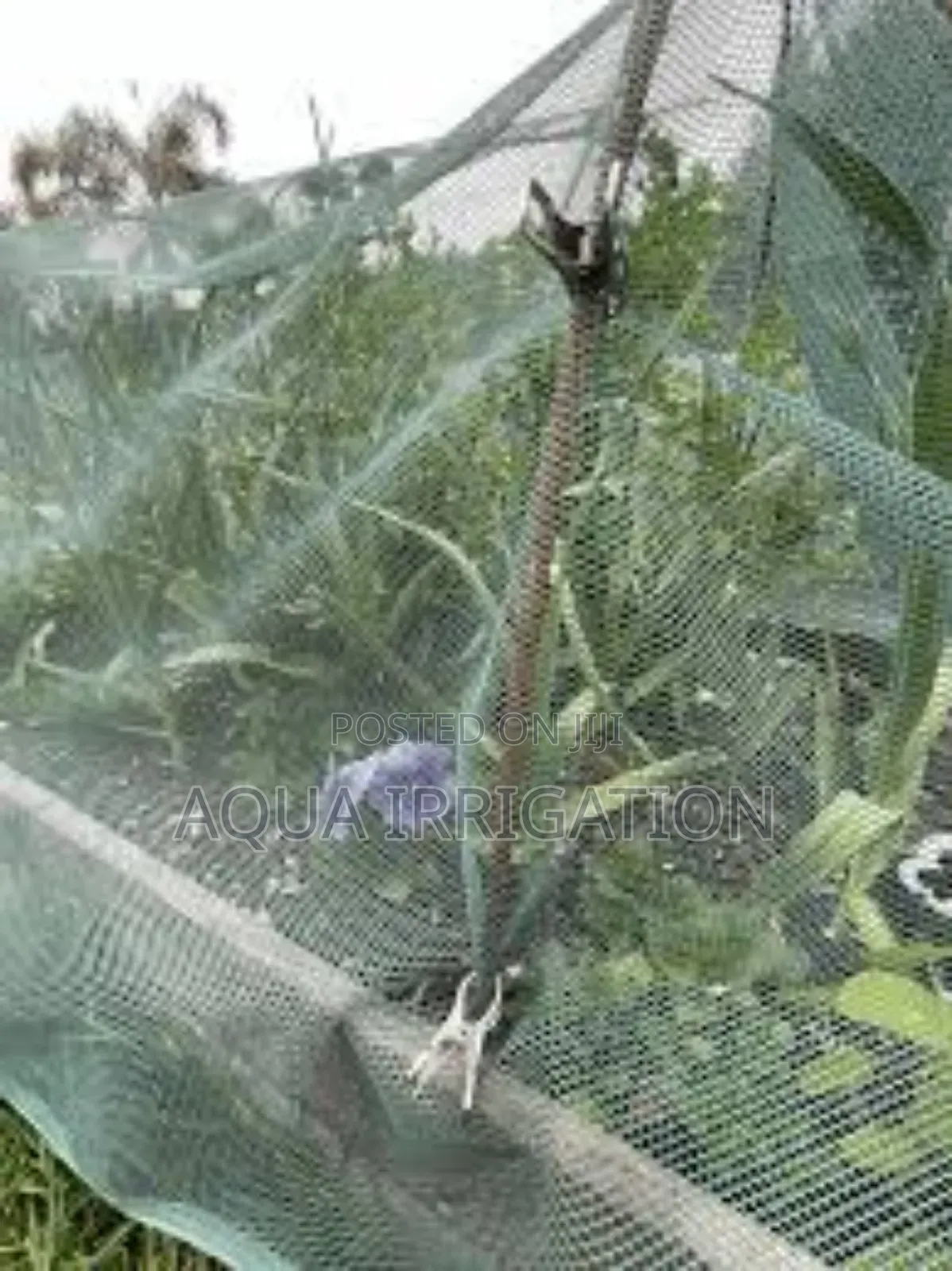 Protect Your Crops Naturally With Insect Nets!