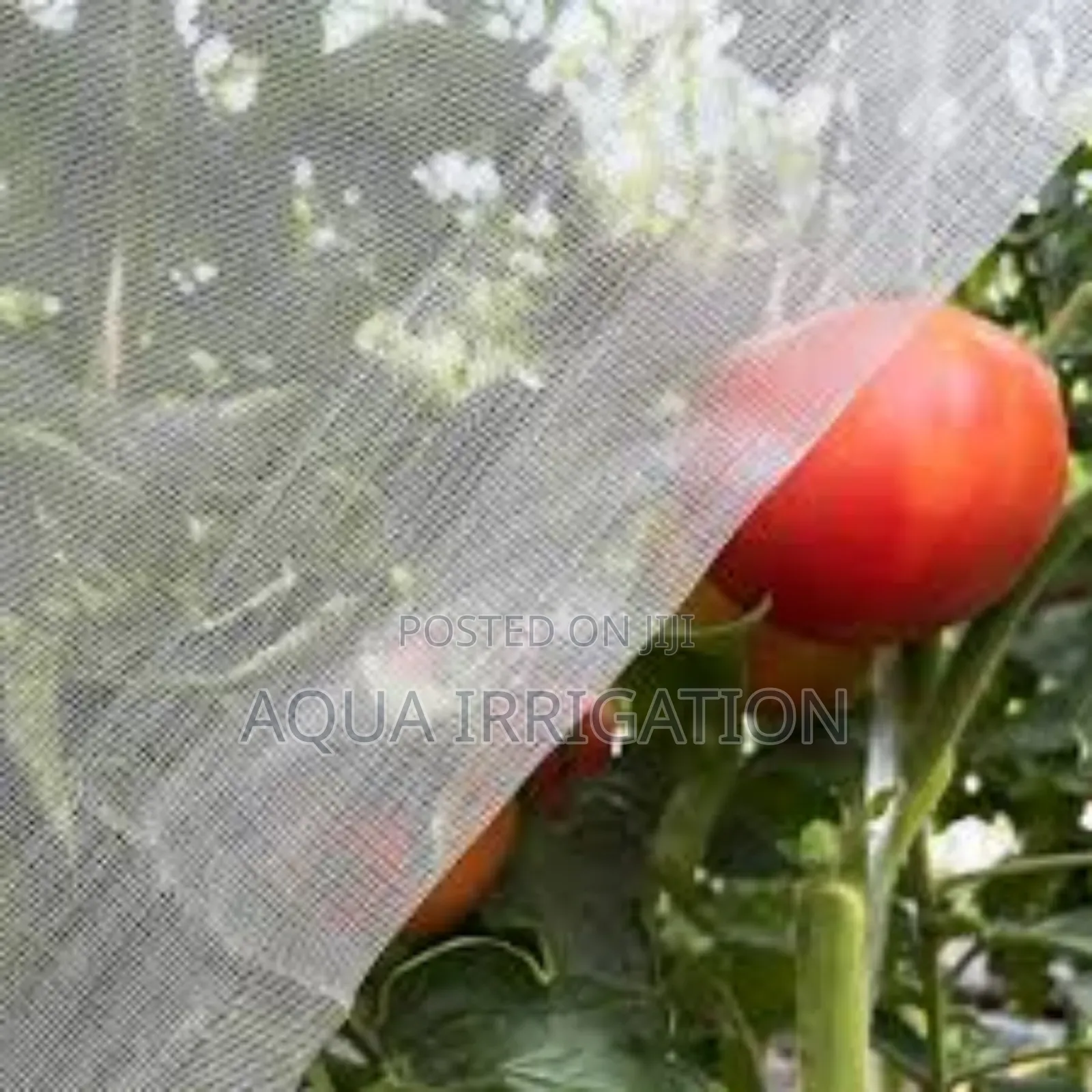 Smart Farming Starts With Quality Insect Nets