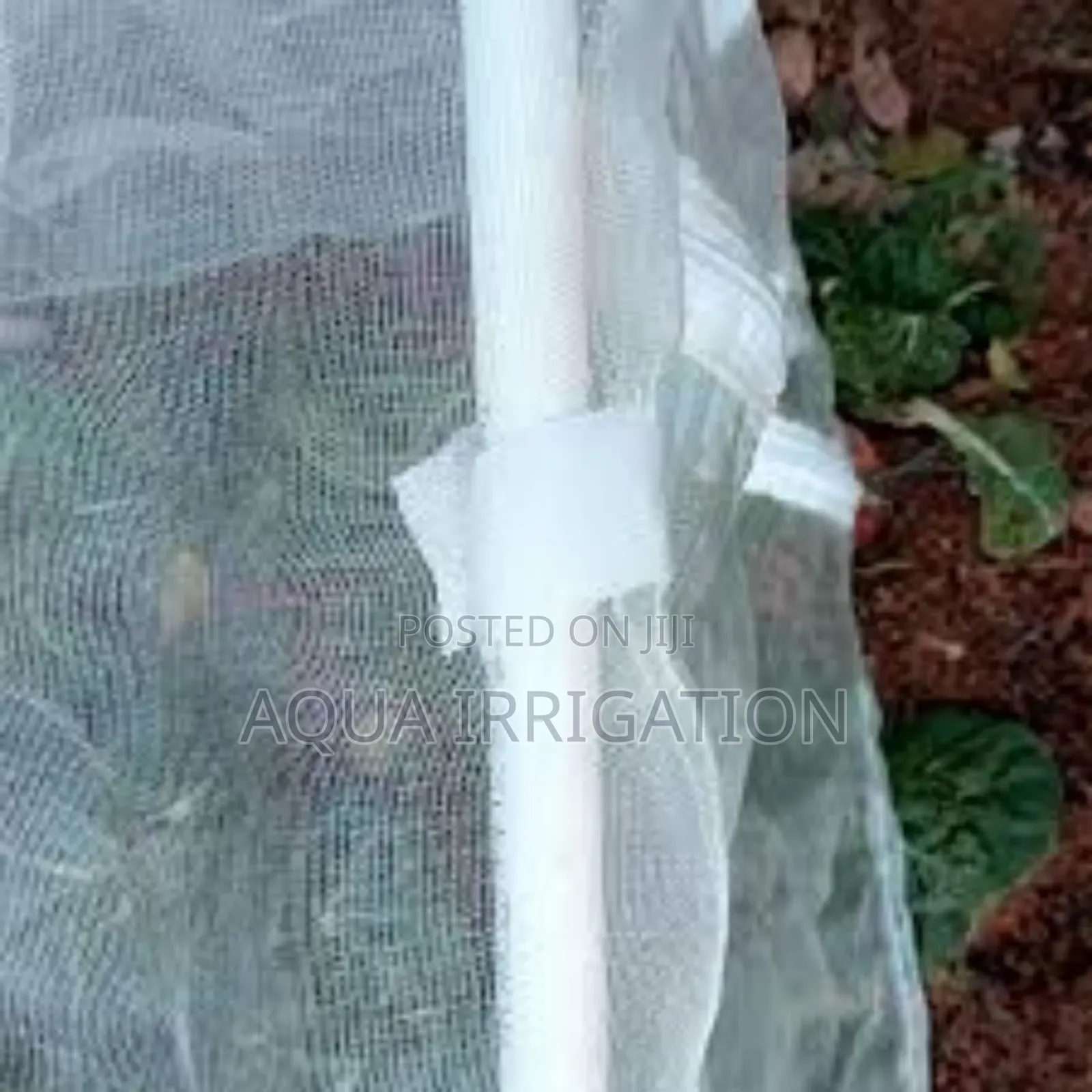 Get Your Self Best Quality Insect Nets