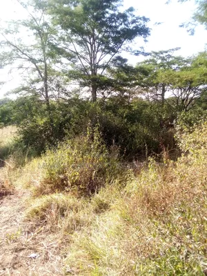 3.75 Acre FARM.MOSA
