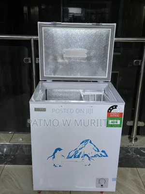 Ecomax 119l Chest Deep Freezer, Perfect for Small Bussiness