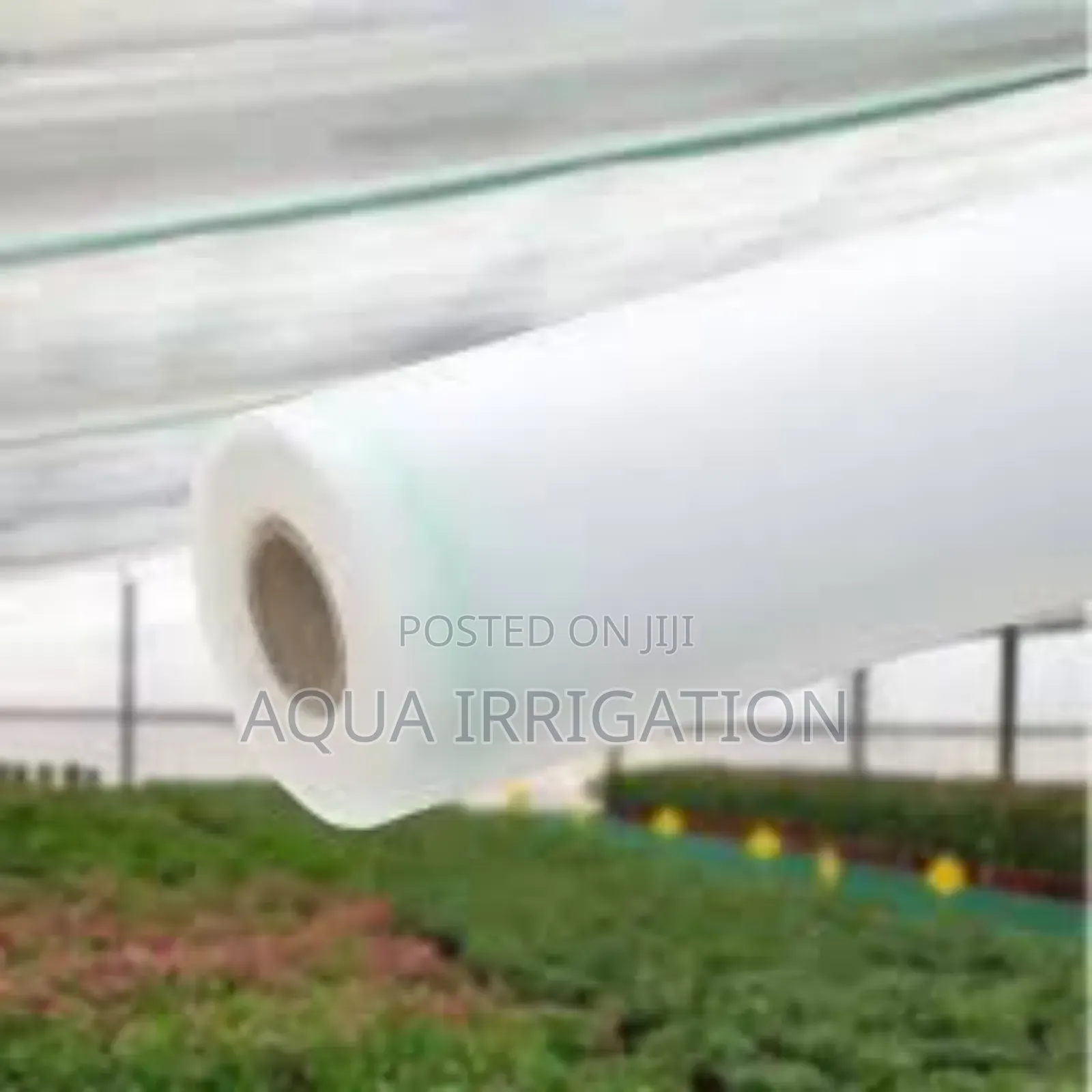 Keep Bugs Out – Get Your Insect Net Today!