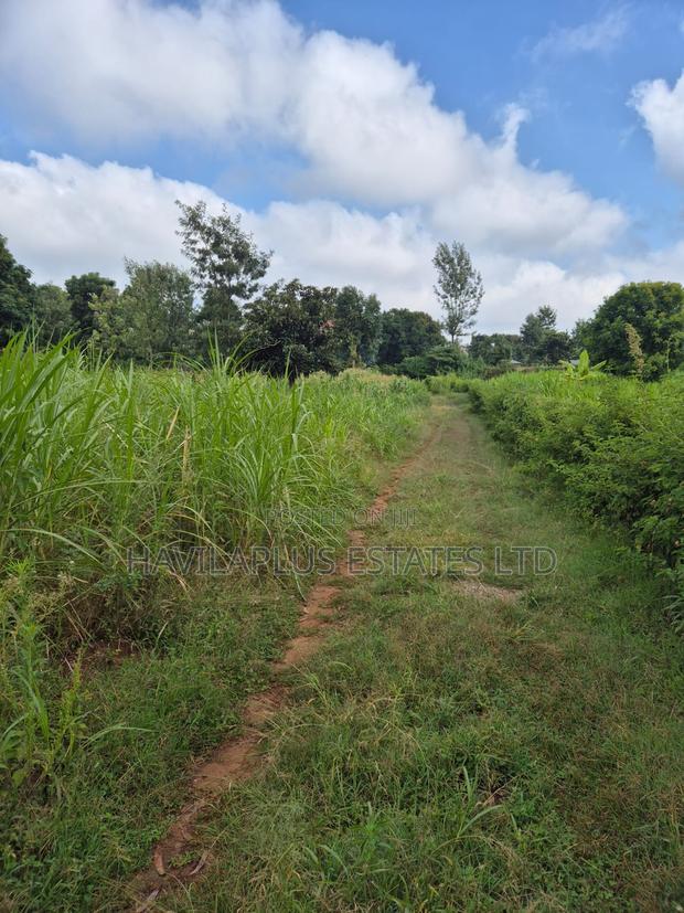 1/2 Acre on Sale Thogoto
