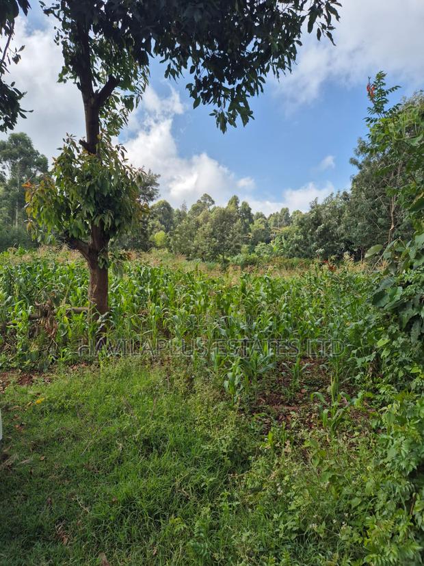 1/2 Acre on Sale Thogoto - thumbnail 2