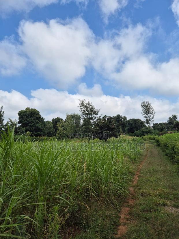 1/2 Acre on Sale Thogoto - thumbnail 3
